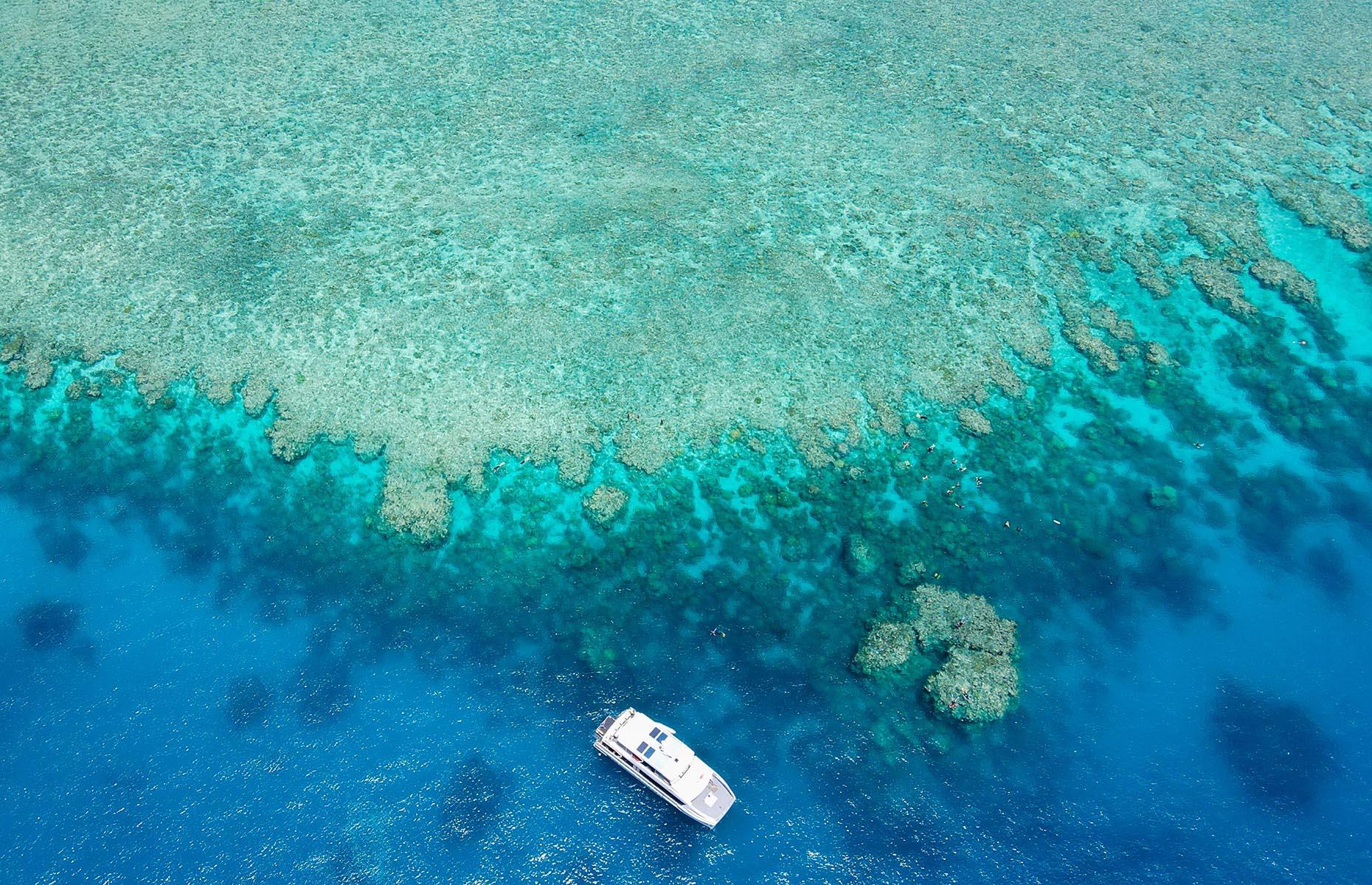 12: The Great Barrier Reef